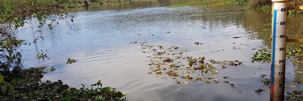 Rio Claro em alerta hídrico: estiagem exige uso consciente da água e colaboração dos munícipes